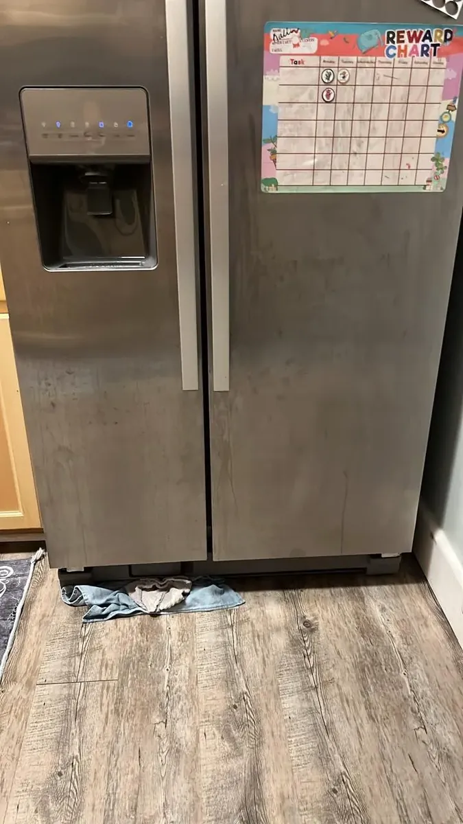 Refrigerator repair in Naperville IL by Blue Jay Appliance